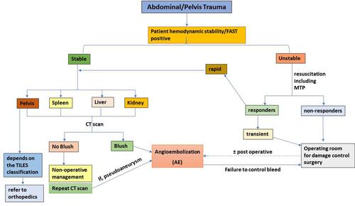Figure 2 Algorithm for angioembolization in solid organ injury and pelvic injury.