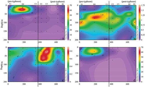 Figure 11. Sectional distribution of phytoplankton abundance in Section R (103 cells L−1). (a): Phytoplankton; (b): Bacillariophyta; (c): Dinophyta; (d): Cyanophyta