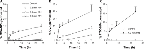 Figure 3 Permeation of fluorescein-labeled ovalbumin nanoparticles (A), fluorescein-labeled ovalbumin (B), or fluorescein-labeled ovalbumin-free nanoparticles (C) through mouse skin treated with different microneedles (small 200 μm, medium 500 μm, and large 1000 μm).Note: Data shown are mean ± standard error (n = 5–7).Abbreviations: MN, microneedle; OVA, ovalbumin; NPs, nanoparticles; FITC, fluorescein-5(6)-isothiocyanate.