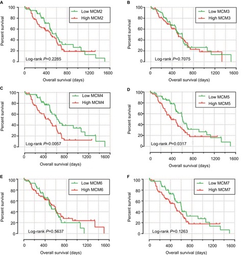 Figure 6 Kaplan–Meier survival curves for MCM genes in pancreatic ductal adenocarcinoma of The Cancer Genome Atlas cohort.Notes: Overall survival stratified by MCM2 (A), MCM3 (B), MCM4 (C), MCM5 (D), MCM6 (E), and MCM7 (F).Abbreviation: MCM, minichromosome maintenance.