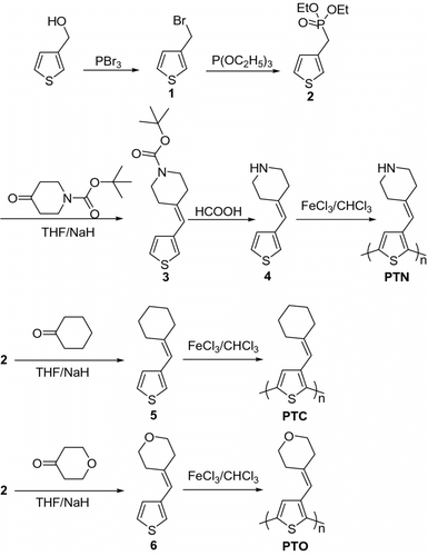 Scheme 1 Synthetic routes of the monomers and polymers.
