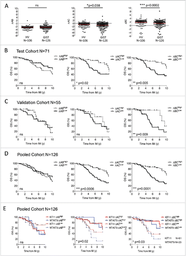 Figure 1. NKp30 isoform Δ ratios predict overall survival in metastatic GIST patients. (A) The NKp30 ΔAB (left panel), ΔAC (middle panel) and ΔBC ratios (right panel) of healthy volunteers (HV, n = 106) and of metastatic GIST patients (n = 126) are shown, non-parametric Mann–Whitney test. (B)–(D). Overall survival from initial imatinib mesylate (IM) treatment of GIST patients according to the median value of ΔAB (left), ΔAC (middle) and ΔBC ratios (right), were assessed by univariate analysis using the Kaplan–Meier method in a test cohort (n = 71, B), validation cohort (n = 55, C) and pooled cohort (n = 126, D). (E) Kaplan–Meier curves of GIST patient overall survival based on the combination of NKp30 Δ ratios and the KIT11 mutational status are shown for the pooled cohort (n = 126), Log-rank (Mantel–cox). *p < 0.05, **p < 0.01, ***p < 0.001. ns = not significant.