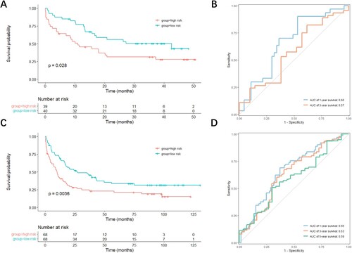 Figure 5. Evaluation of the accuracy of the prognostic model in validation datasets. (A, C) Kaplan-Meier curves showing the difference detected by the log-rank test for patients in GSE12417 (A) and GSE37642 (C) datasets. (B, D) Time-dependent ROC curves evaluating the accuracy of the prognostic model in GSE12417 (B) and GSE37642 (D) datasets.
