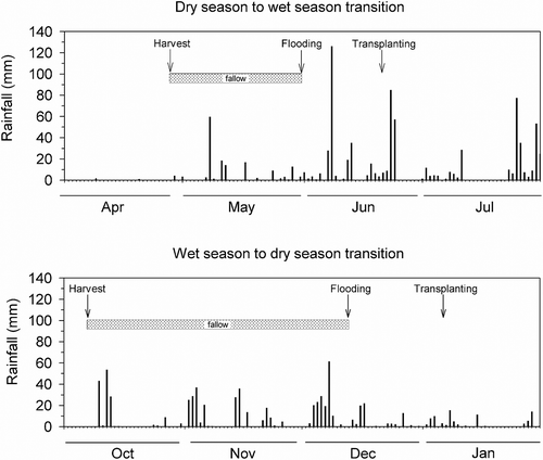 Figure 1. Daily rainfall in the dry to wet season transition and in the wet to dry season transition.