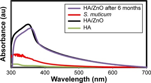 Figure 5 UV–vis absorption spectrum of the HA/ZnO nanocomposite.