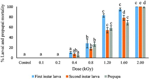 Figure 2. Effect of gamma radiation on mortality of the first and the second instar larva and prepupa of Hypothenemus hampei after treatment. Data are mean ± SD three replicates. Bars with same letter are not significantly different (p > .05).