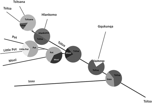 Figure 10. The proportional contribution of sub-catchments to downstream sediment at each node in the Tsitsa River catchment, represented by pie chart segments.