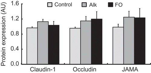 Figure 2. Immunoblot analysis of TJ proteins in the dorsal skin in NC/Nga mice fed test diets for 3 weeks in Experiment 1. Test diets were standard (for control), Alk, and FO. Values are means (n = 7 mice per group), with their standard errors represented by vertical bars. Different superscript letters indicate significant differences at P < 0.05.