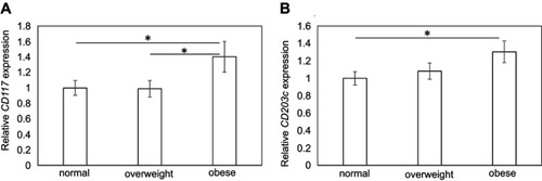 Figure 1 Effect of obesity on mast cell marker expression in synovial tissue. CD117 (A) and CD203c expression (B) in normal, overweight, and obese groups. *P<0.05.