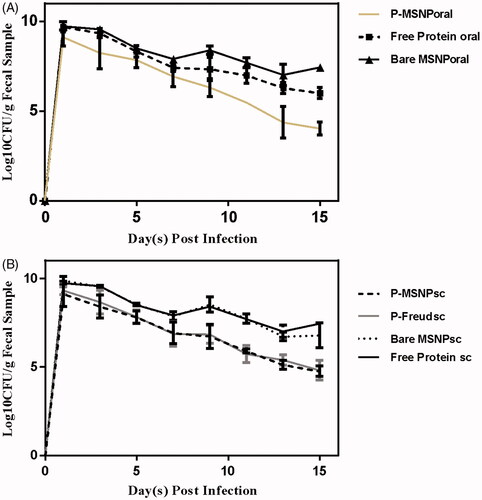 Figure 6. The number of recovered bacteria on each day after infection in (A) orally and (B) subcutaneously administered groups. The detection and quantification of bacteria carried out by Sorbitol McConky Agar.