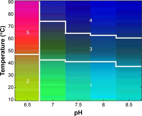 Figure 3 An EPD of ID93 using the physicochemical data from Figure 2. At least five distinct phases are evident.Abbreviation: EPD, empirical phase diagram.