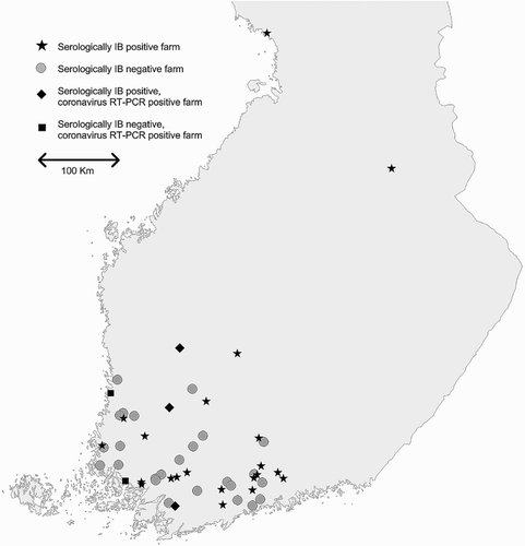 Figure 1. Distribution and the IBV occurrence of the 51 backyard chicken farms sampled in Finland.