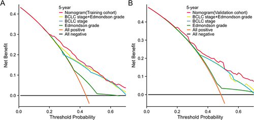 Figure 5 Decision curve analysis for 5-year survival predictions. (A) The decision curve of the training cohort; (B) The decision curve of the validation cohort.