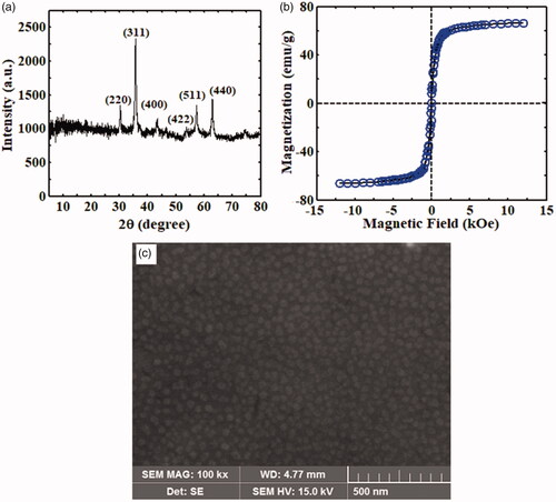 Figure 2. The analyses of (a) XRD; (b) VSM; and (c) SEM for pristine Fe3O4 nanoparticle.