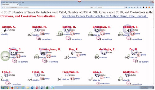 Figure 3. Close-up of the ICC researcher metrics visualization.