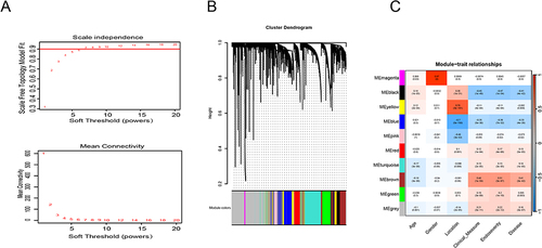 Figure 1 Weighted co-expression network analysis (WGCNA) of GSE193677 dataset. (A) Soft threshold power value of 6 was utilized to cluster a total of 993 samples. (B) By aggregating genes with strong correlations in the same module, different modules were obtained and are displayed in different colors. (C) Correlation analysis between modules and the endoscopic and clinical scores.