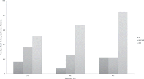 Figure 3. Percentage distribution of three C. difficile ribotypes (078, 014/020, 005) co-incubated all together at equal concentrations in BHIS media, plated and identified from a mixed culture by PCR-ribotyping coupled with Agilent 2100 Bioanalyzer (Agilent; Santa Clara, CA-USA). Methods in Supplementary file S3.