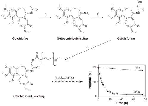 Figure 1 Synthesis and hydrolysis kinetics of colchicinoid prodrug. The synthesis of the colchicinoid prodrug is performed in three steps: (1) colchicine is deacetylated to obtain N-deacetylcolchicine; (2) N-deacetylcolchicine is acylated with glycolic acid resulting in a hydroxyl functionalized colchicinoid also known as colchifoline; and (3) the colchicinoid is coupled to methoxy PEG5000 to form the colchicinoid prodrug. By using esterification to conjugate PEG to the colchicinoid, a prodrug that is hydrolysable at physiological conditions is created: at 37°C, the prodrug is cleaved within a day (t1/2 5.4 hours), while at 4°C the hydrolysis rate is limited (calculated t1/2 14 days [zero-order kinetics]).