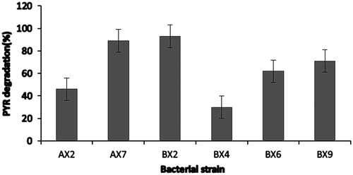 Figure 1. Degradation of selected bacterial isolates to 100 mg/L of PYR.