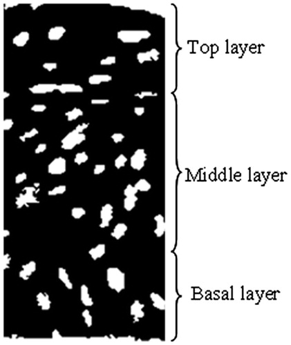 Figure 17. Three layers.