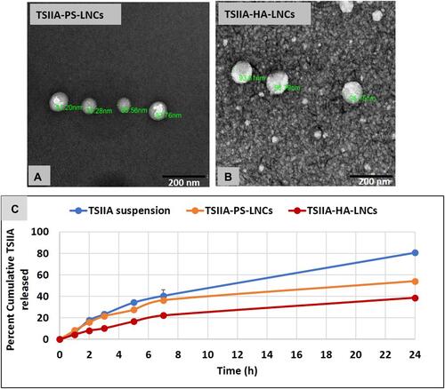 Figure 2 (A and, B) TEM of TSIIA-PS-LNCs and TSIIA-HA-LNCs, respectively, at magnification 40,000×. (C) Release profiles of LNC formulations versus TSIIA suspension at 37°C. Data presented as means ± SD (n=3).