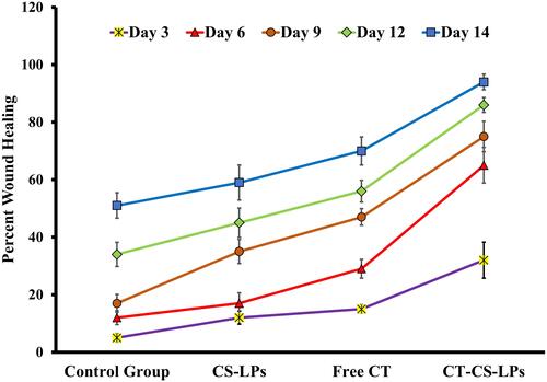 Figure 6 Percent area of wound healing in treated diabetic rats on the 3rd, 6th, 9th, 12th, and 14th days after wound creation in; control (untreated), chitosan-coated liposomes without citicoline (CS-LPs), free citicoline (free CT), and optimized citicoline chitosan-coated liposomes (CT-CS-LPs) groups.