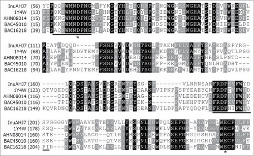 Figure 1. Partial amino acid sequence alignment of InuAHJ7 with GH 32 exo-inulinases. Sequence names are shown with accession numbers, except InuAHJ7, as follows: exo-inulinases from A. awamori var. 2250 (1Y4W),Citation10 Paenibacillus polymyxa ZJ-9 (AHN08014),Citation21 Geobacillus stearothermophilus KP1289 (BAC45010),Citation15 and Penicillium sp. TN-88 (BAC16218).Citation22 Identical residues are shaded in black and conserved residues are shaded in gray. The black bars indicate blocks used for designing degenerate primers. The asterisks show the putative catalytic residues.