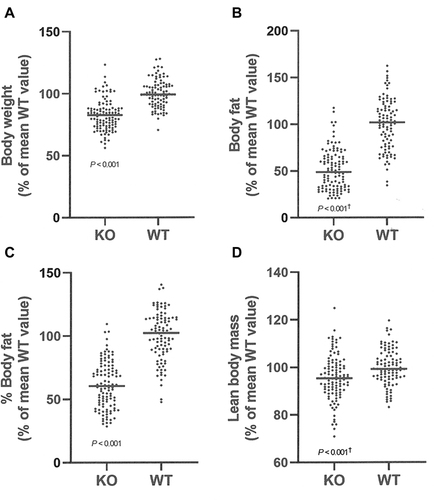 Figure 2 Body composition of Gpr75 KO mice and their WT littermates. (A) Body composition data were normalized and combined from all 118 Gpr75 KO mice (54 female, 64 male) and all 103 WT littermate mice (47 female, 56 male) that were weighed and analyzed by QMR at 11–24 weeks of age (Supplementary Table 1). (A) body weight; (B) body fat; (C) % body fat; and (D) lean body mass. †Statistical analysis by Mann–Whitney test.