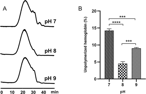 Figure 5 Effects of pH on hemoglobin polymerization on resin. SEC chromatograms of PolyHb at different pH (A). Proportions of unpolymerized hemoglobin at different pH (B). Hemoglobin was polymerized under conditions of molar ratios of mGA: mEC = 1: 20 and mHb: mGA = 1: 270 at pH = 8 with different pH. ***P < 0.001, ****P < 0.0001.