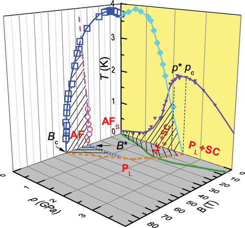 Figure 6. (colour online) Schematic B-p-T phase diagram of . The different phases are labelled in the figure, where AF, P and SC represent antiferromagnetic, paramagnetic and superconducting phases, respectively, while the subscripts S and L represent small and large FS, respectively. Symbols are experimental data reproduced from this work as well as the literature [Citation18,Citation19,Citation21,Citation33]. All the dashed and dotted lines are guide to the eyes.