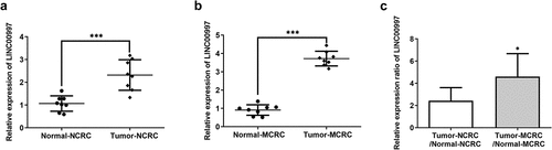 Figure 1. LINC00997 is highly expressed in MCRC tissues. (a) The expression of LINC00997 in NCRC tissues and the corresponding adjacent tissues was determined using RT-qPCR assay. ***P < 0.001. (b) LINC00997 level in MCRC tissues and para-carcinoma tissues was detected with RT-qPCR. ***P < 0.001. (c) The relative expression ratio of LINC00997 in the Tumor-MCRC/Normal-MCRC group and Tumor-CRC/Normal-NCRC group. *P < 0.05 vs. Tumor-NCRC/Normal-NCRC