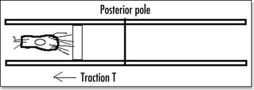 Figure 4 Schematic representation of a cell embedded between extracellular membranes, and crawling towards the posterior pole. A little elementary volume of tissue undergoes a tensile stress. The excess of filopodia to the right represents the filopodia gradient. The posterior pole undergoes tractions from both sides, hence it sees a tensile force twice as big as the tensile force generated by the filopodia.