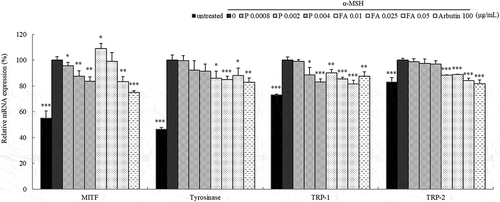 Figure 7. Effect of paprazine and FA on mRNA expression of melanogenesis related proteins.Total RNAs extracted from B16 melanoma cells treated with paprazine or FA for 24h were subjected to qRT-PCR. The mRNA expression levels of MITF, tyrosinase, TRP-1 and TRP-2 were evaluated relative to the levels of GAPDH. The mRNA expression levels in cells stimulated with α-MSH were considered as 100%. Values represent the mean ± S.D. of three independent measurements. *: p < 0.05, **: p < 0.01, ***: p < 0.001.