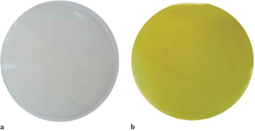 Figure 4. (a) Controle film and (b) biodegradable film, optmized by the desirability, obtained with 2,3% of FG, 30% of BO, and 13,18 of PL.Figura 4. (a) película de control y (b) película biodegradable, optimizada por la deseabilidad, obtenida mediante el uso de 2.3% de gelatina de pescado, 30% de aceite de burití y 13.18% de plastificante.