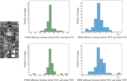 Figure 9. Histograms of the PSNR and SSIM differences between the bilevel spatial TGV and bilevel spatial TV (top) and between the bilevel spatial TGV and bilevel scalar TGV (bottom), for reconstructions of noisy versions of the 50 images on the left. In all bilevel algorithms the ground truth-free statistics-based upper level objective was used.