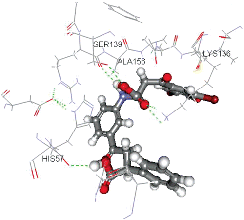 Figure 5.  Docking pattern of the designed compound (Xa) with HCV NS3 binding site. It showed Dock energy = −55.78 Kcal/mol and hydrogen bonds with Ser139(1.87 Å), His57(2.09 Å) (Aminoacid of the catalytic triad) and with Lys136(1.86 Å), Ala156(1.94 Å) (amino acids surrounding the catalytic triad).