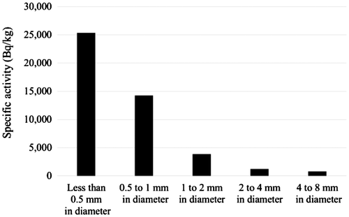 Figure 6. Specific activity of contaminated soil particles as a function of soil particle diameter.