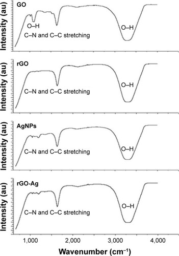 Figure 3 FTIR spectra of GO, rGO, AgNPs, and rGO-Ag nanocomposites.Note: Dried powders of GO, rGO, AgNPs, and rGO-AgNP nanocomposites were diluted with KBr to perform FTIR spectroscopy and spectrum GX spectrometry within the range of 500–4,000 cm−1.Abbreviations: FTIR, Fourier transform infrared; GO, graphene oxide; rGO, reduced graphene oxide; AgNPs, silver nanoparticles; rGO-Ag, reduced graphene oxide-silver.