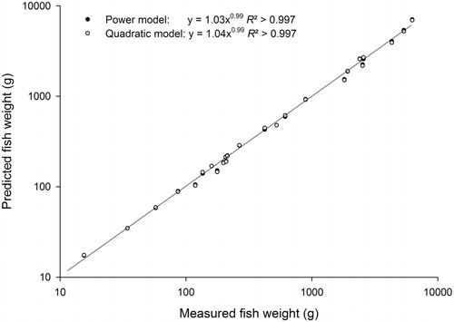 Figure 2 The relationship between measured and predicted fish weight for 25 sites around New Zealand. Predicted fish weights were calculated using both power and quadratic equations from Table 1. Note that two separate regression lines are not visible because the fitted relationships were equivalent when both methods were used.