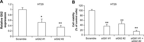 Figure 2 Inhibition of Gli2 reduces HT29 cell growth in vitro.