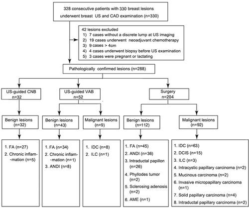 Figure 1 Flowchart of the breast lesion selection process.