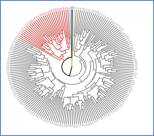 Figure 6. Dendrogram of 196 sugarcane genotypes based on combinations of 13 agro-morphological and five biochemical traits.