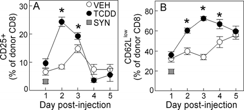 FIG. 2 Up-regulation of CD25 and down-regulation of CD62L are enhanced following exposure to TCDD. F1 mice were dosed with vehicle or TCDD one day before the injection of donor T-cells. On Days 1–5, the expression of CD25 (A) and CD62L (B) was measured on donor CD8+ cells in the spleen. The data are combined from several independent experiments, with n = 6–20 mice per group per day. *p < 0.05, compared to vehicle.