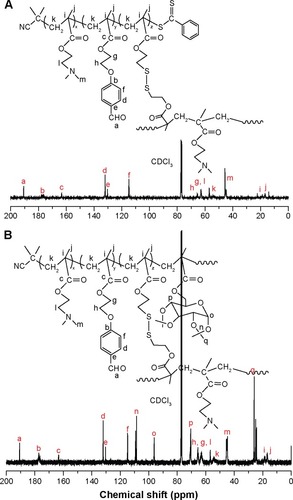 Figure 3 13C-NMR spectra of the branched polymer, BP-3 (A), and the branched star polymer, BSP-3 (B).Abbreviation: 13C-NMR, carbon-13 nuclear magnetic resonance.