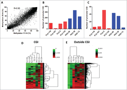 Figure 2. (A) Correlation of DNA methylation % within CG sites detected by DREAM in 2 normal liver samples. Minimum coverage 10+ reads. Spearman r = 0.95, p < 0.0001. (B) Bar graphs of the number of genes gaining DNA methylation in each pure fibrolamellar carcinoma (p-FLC) and non-cirrhotic hepatocellular carcinoma (HCC) sample. (C) Bar graphs of the number of genes losing DNA methylation in each p-FLC and HCC sample. (D) Unsupervised clustering analysis using differentially methylated CG sites located in CG islands (CGI). (E) Unsupervised clustering analysis using differentially methylated CG sites located outside CGI.