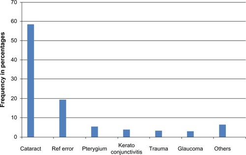 Figure 1 Causes of visual impairment.