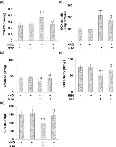 Figure 6. S14G-humanin ameliorated oxidative stress in cardiac diabetic mice. (a) TBARS level; (b) NOX activity; (c) The Catalase Level; (d) SOD activity; (e) GPx levels (†††, P < 0.005 vs. vehicle group; ‡‡, P < 0.01 vs. STZ group)