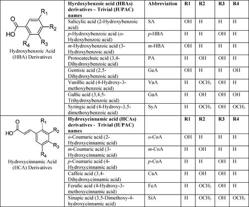 Figure 1. Chemical structures and functional groups of the common phenolic acids, hydroxybenzoic acids (HBAs) and hydroxycinnamic acids (HCAs) used in this study.