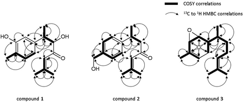 Figure 6. The correlation signals obtained by COSY and HMBC for compounds 1 to 3.