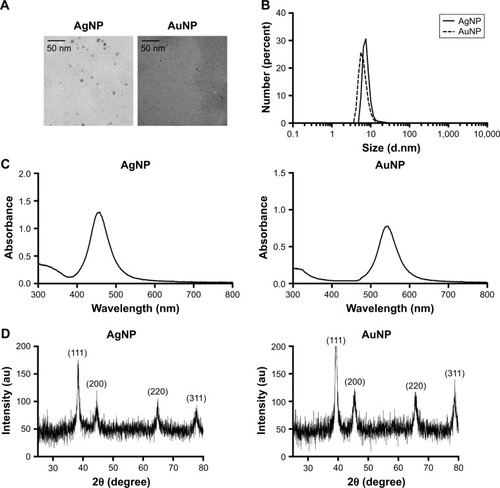 Figure 1 Physicochemical properties of AgNPs and AuNPs prepared by Phaffia rhodozyma cell-free extract. Transmission electron microscopic images of AgNPs and AuNPs (A), and size distribution of the nanoparticles by DLS measurements (B), UV-VIS spectra (C) and X-ray diffraction pattern (D).Abbreviations: AgNP, silver nanoparticle; AuNP, gold nanoparticle; DLS, dynamic light scattering; UV-VIS, ultraviolet-visible.